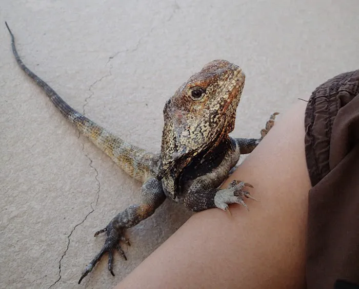 Park Animal Hospital 8