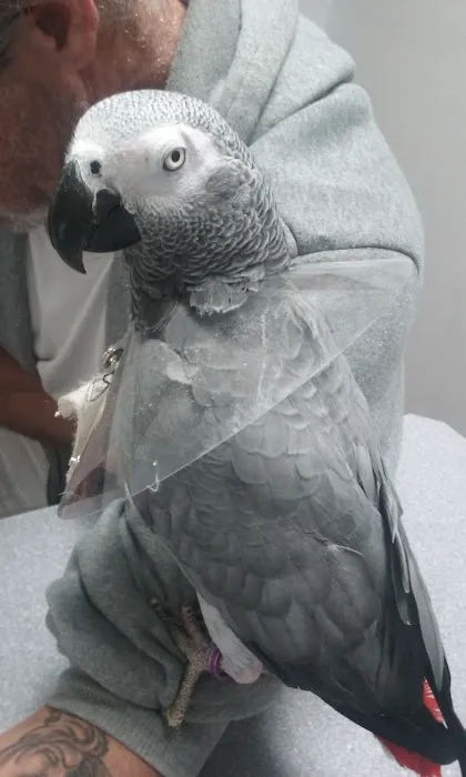 Park Animal Hospital 7