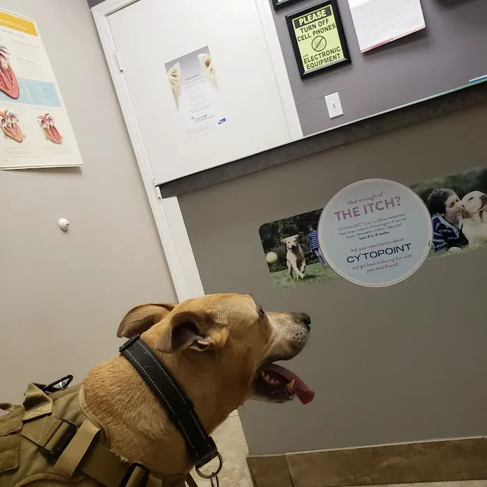 Legacy Animal Hospital 7