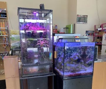 Uncle Earl's Pet Center