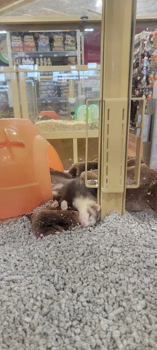 Pet Supermarket 12