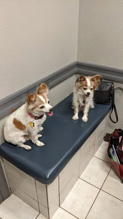 American Pet Hospital: Pond D Travis DVM 12