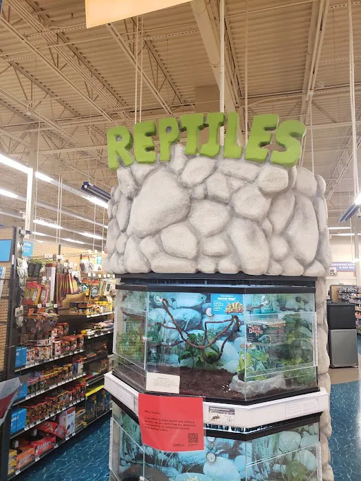 Petco 12