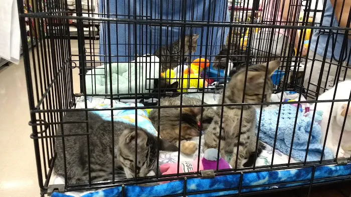 Petco 12