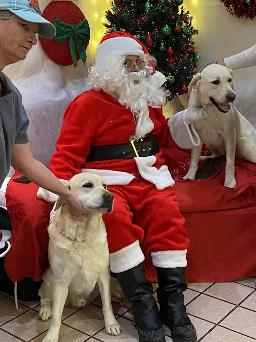 Parkway Springs Animal Hospital - at Arch Plaza 12
