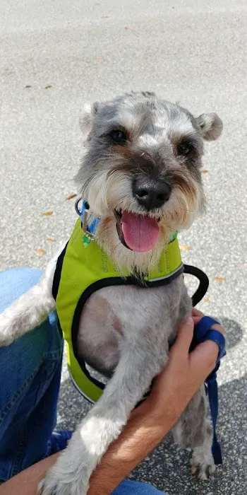 Woof Gang Bakery & Grooming Palm Beach Gardens 12