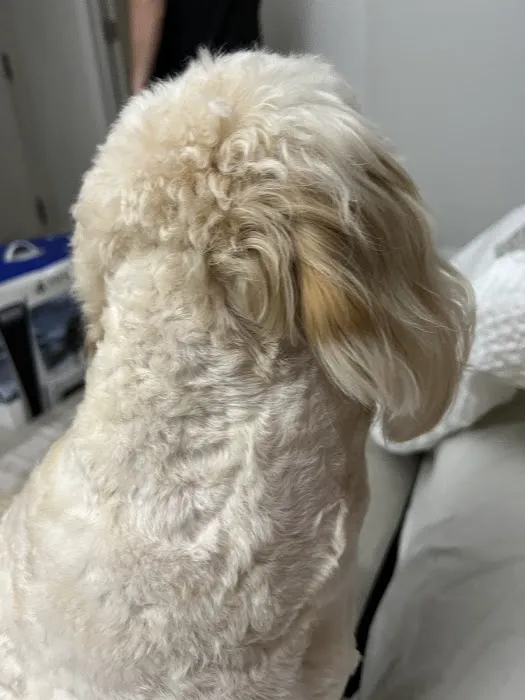 Petco 12