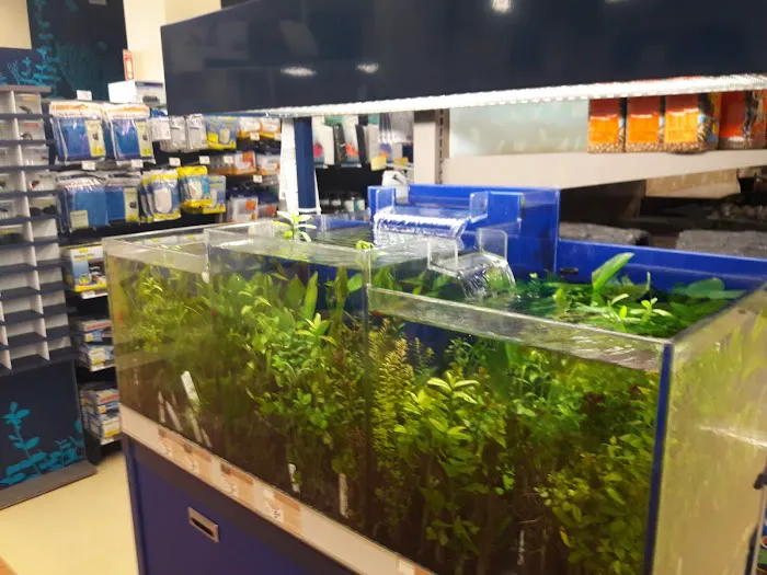 Petco 12