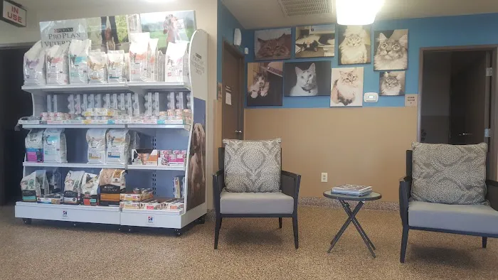 The Ark Animal Clinic 12