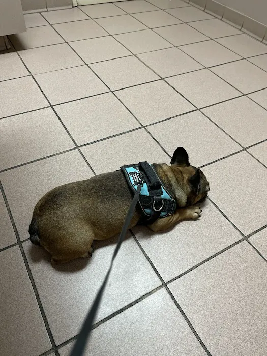 The Ark Animal Clinic 12
