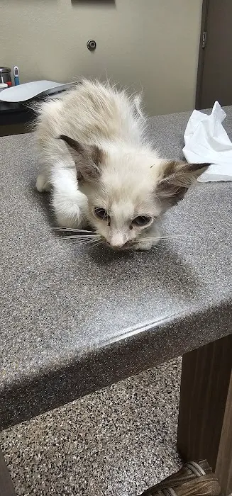 The Ark Animal Clinic 12