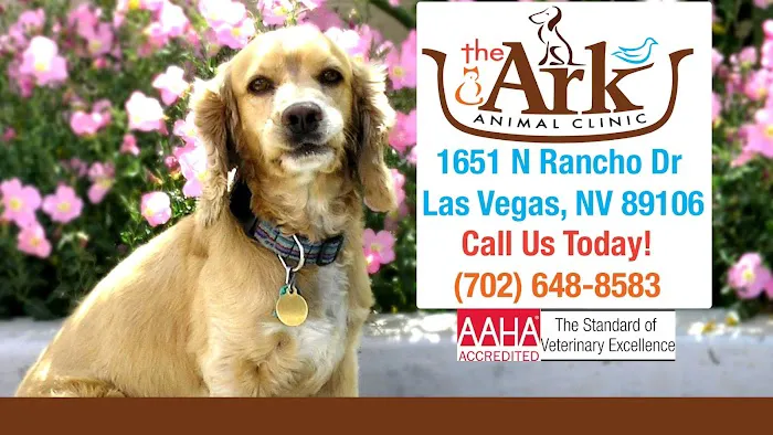 The Ark Animal Clinic 12