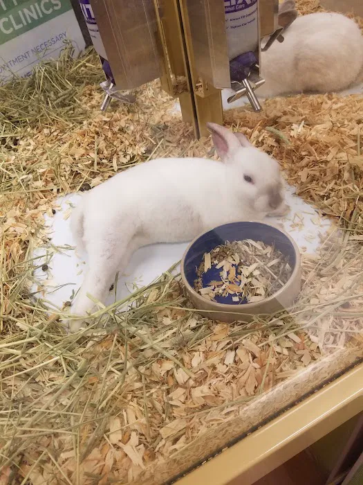 Pet Supermarket 9