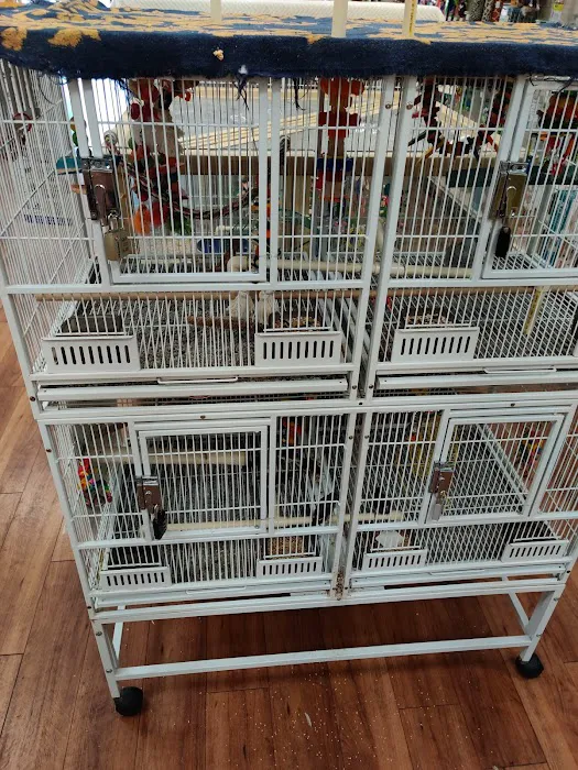 Pet Supermarket 8