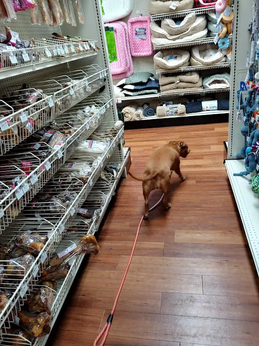 Pet Supermarket 6