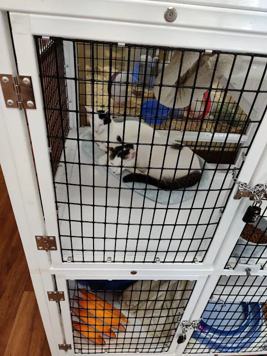 Pet Supermarket 7