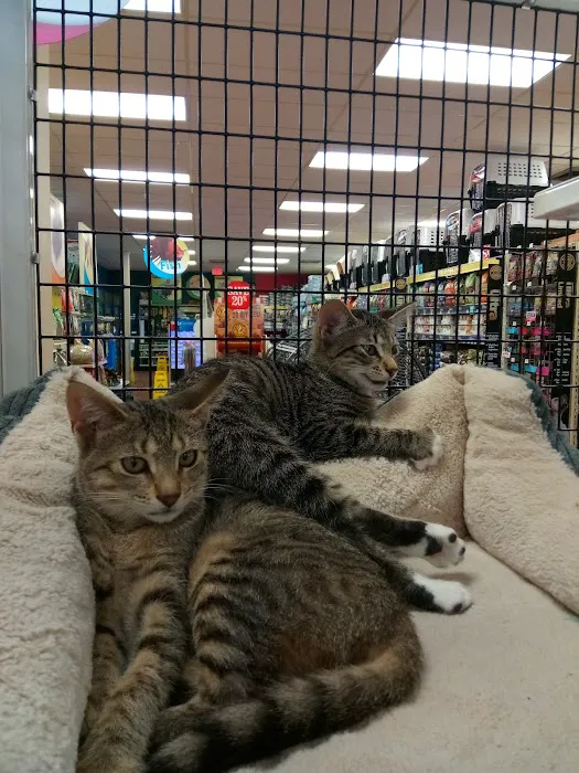 Pet Supermarket 5