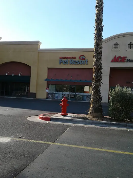 Pet Resort & Spa 12