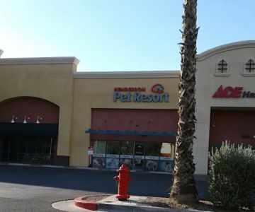 Pet Resort & Spa