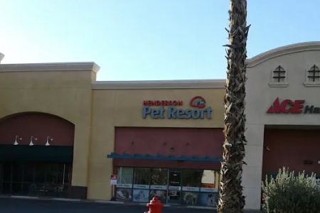 Pet Resort & Spa