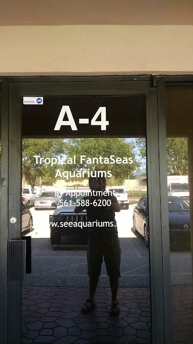 Tropical FantaSeas Aquariums 12