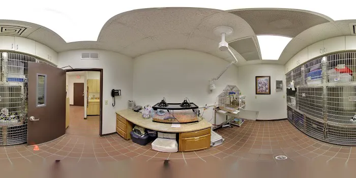 Lone Mountain Animal Hospital 8