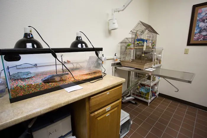 Lone Mountain Animal Hospital 7