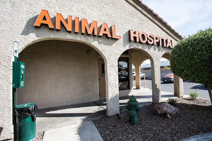 Lone Mountain Animal Hospital 10
