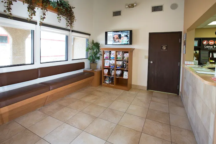 Lone Mountain Animal Hospital 9