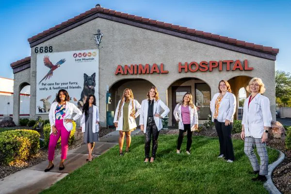 Lone Mountain Animal Hospital 4