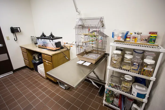Lone Mountain Animal Hospital 6