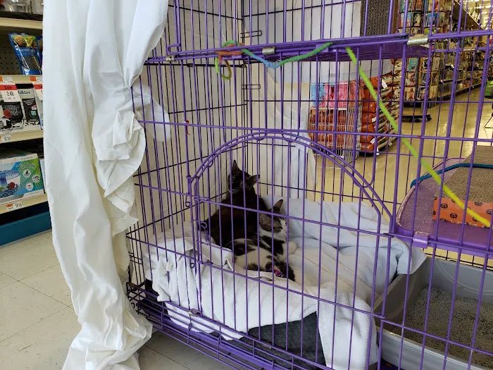 Pet Supplies Plus Lake Park 12