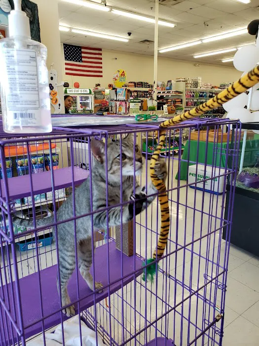 Pet Supplies Plus Lake Park 12