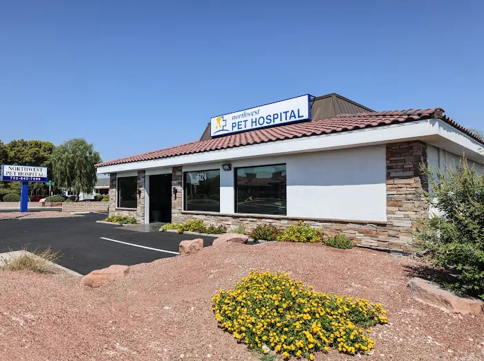 Northwest Pet Hospital 1