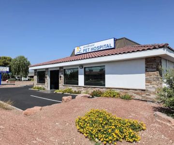 Northwest Pet Hospital