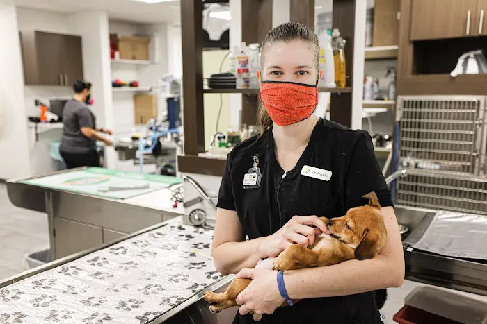 Northwest Pet Hospital 7