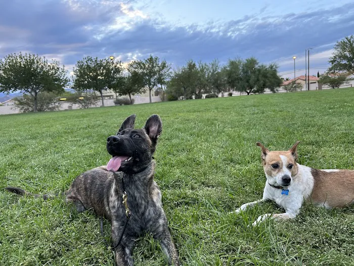 Northwest Pet Hospital 5