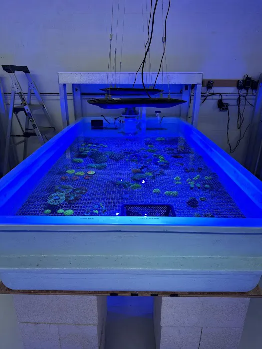 Hidden Reef Aquariums 12