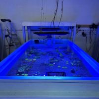 Hidden Reef Aquariums ico