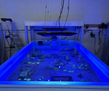 Hidden Reef Aquariums