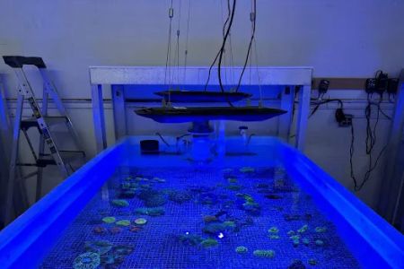 Hidden Reef Aquariums