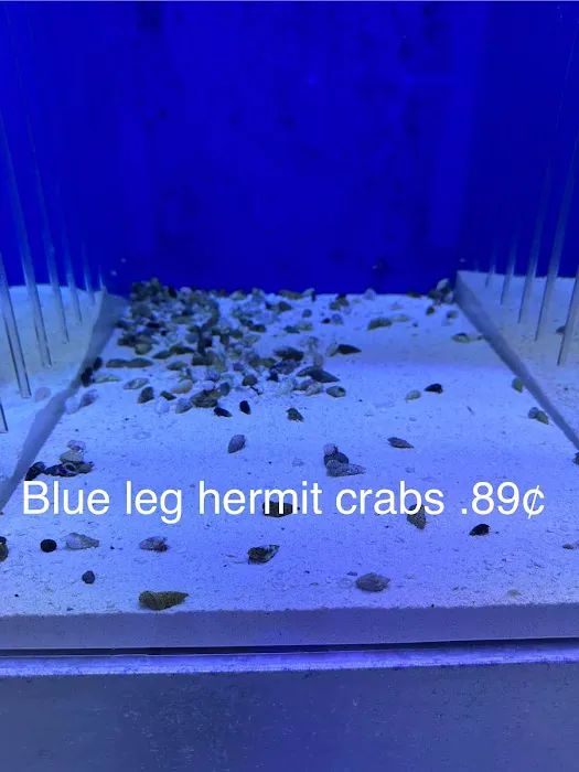 Hidden Reef Aquariums 12