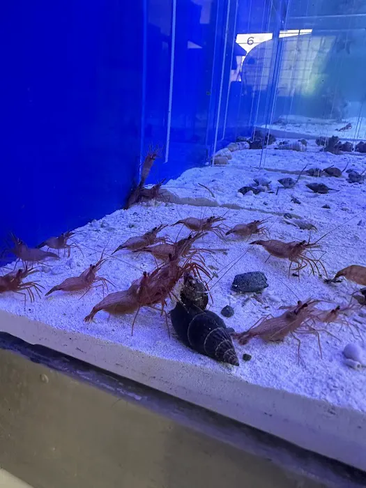 Hidden Reef Aquariums 12