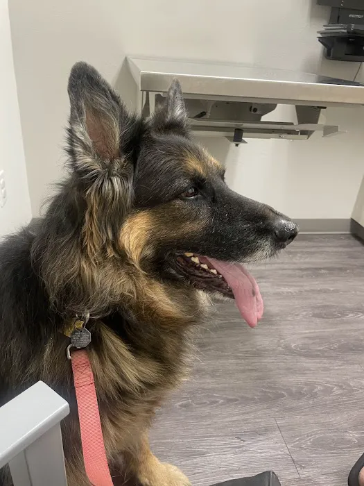Cheyenne Tonopah Animal Hospital 12