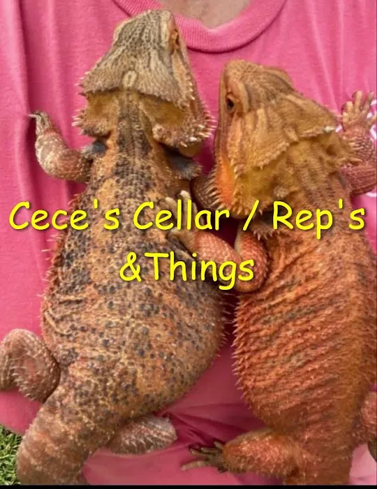 Cece's Cellar 12