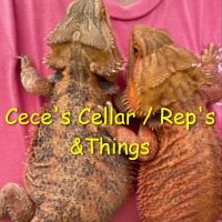 Cece's Cellar ico