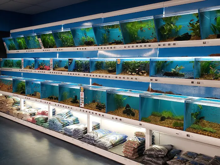 Pet Supermarket 12