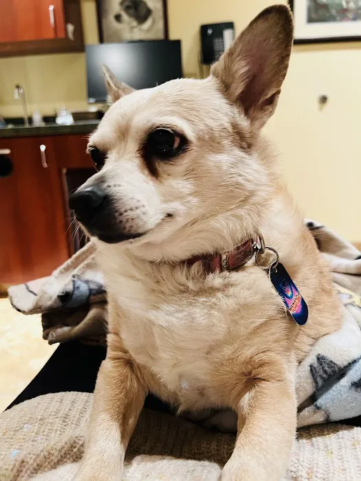 Cheyenne West Animal Hospital 12