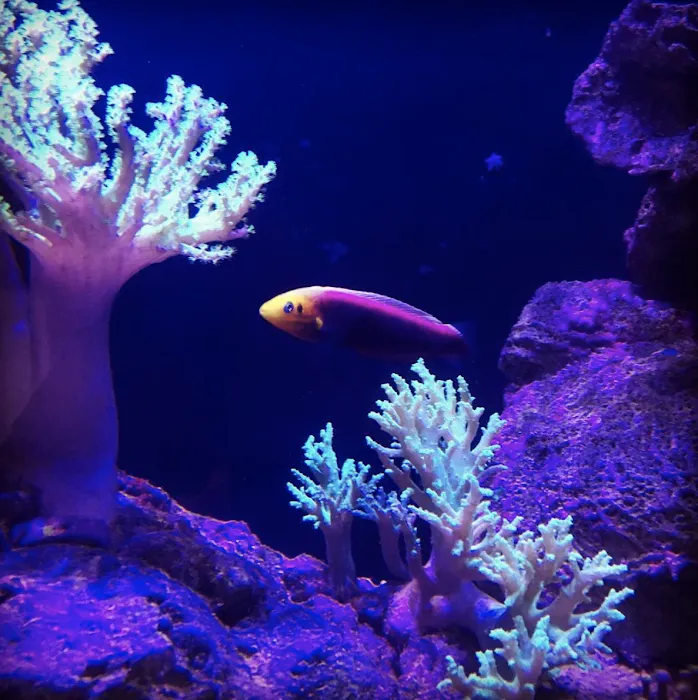 Private Oceans Aquariums 12