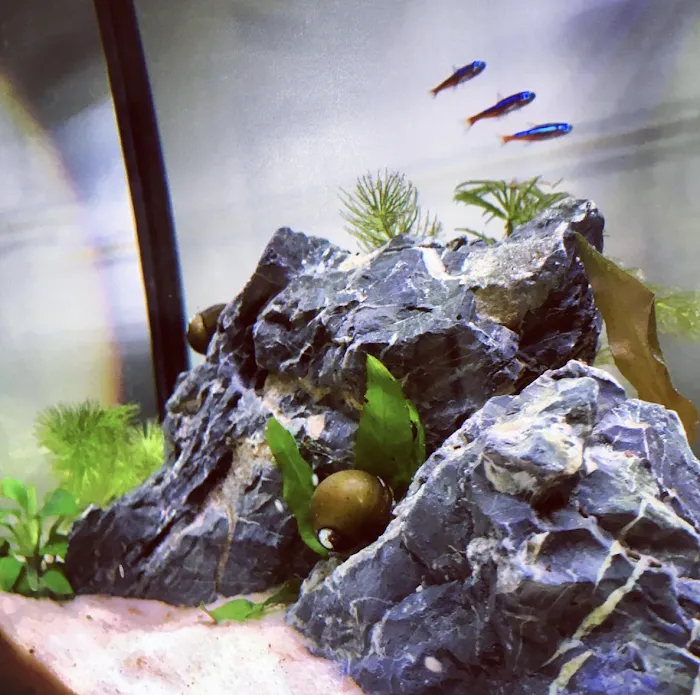 Private Oceans Aquariums 12